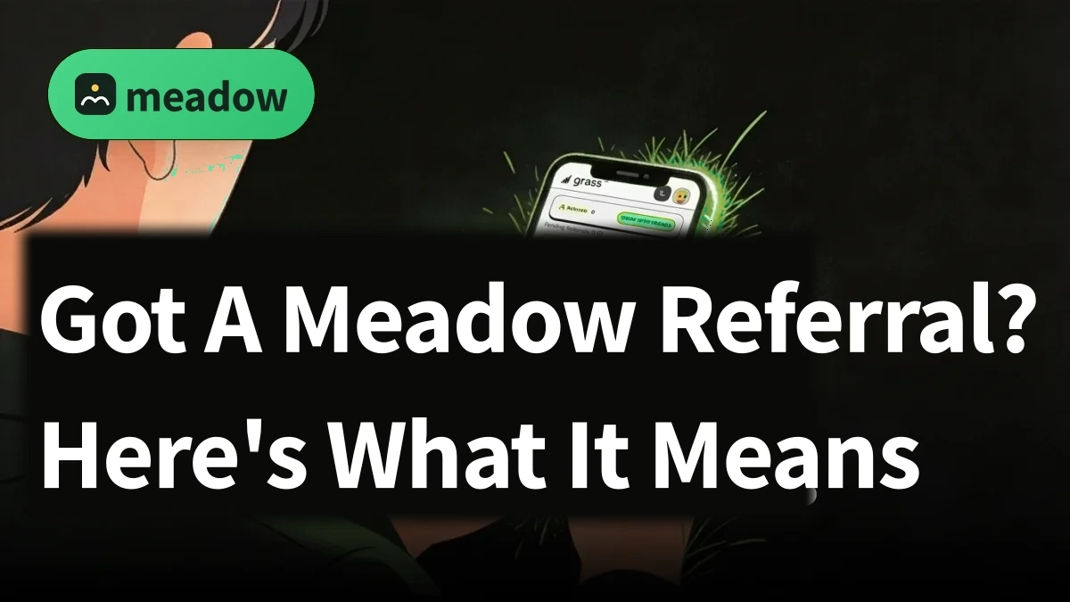 meadow blog